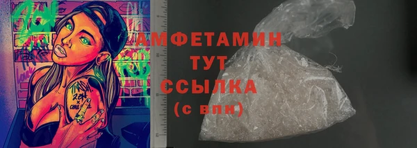 прущие грибы Белокуриха