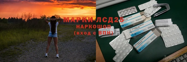 прущие грибы Белокуриха