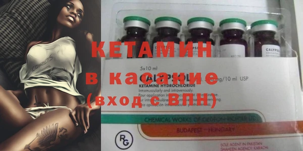 прущие грибы Белокуриха