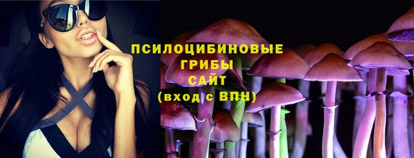 прущие грибы Белокуриха