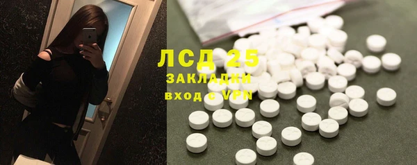 прущие грибы Белокуриха