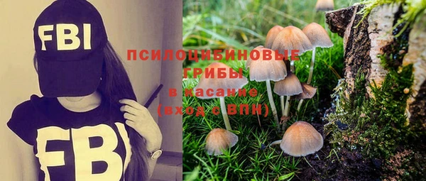 прущие грибы Белокуриха