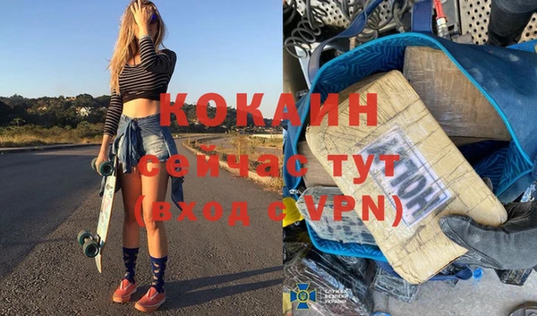 прущие грибы Белокуриха