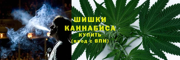 прущие грибы Белокуриха
