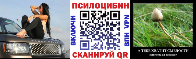 Галлюциногенные грибы GOLDEN TEACHER omg tor Валуйки купить